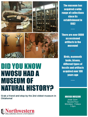 Museum Flyer - Visit the Museum
