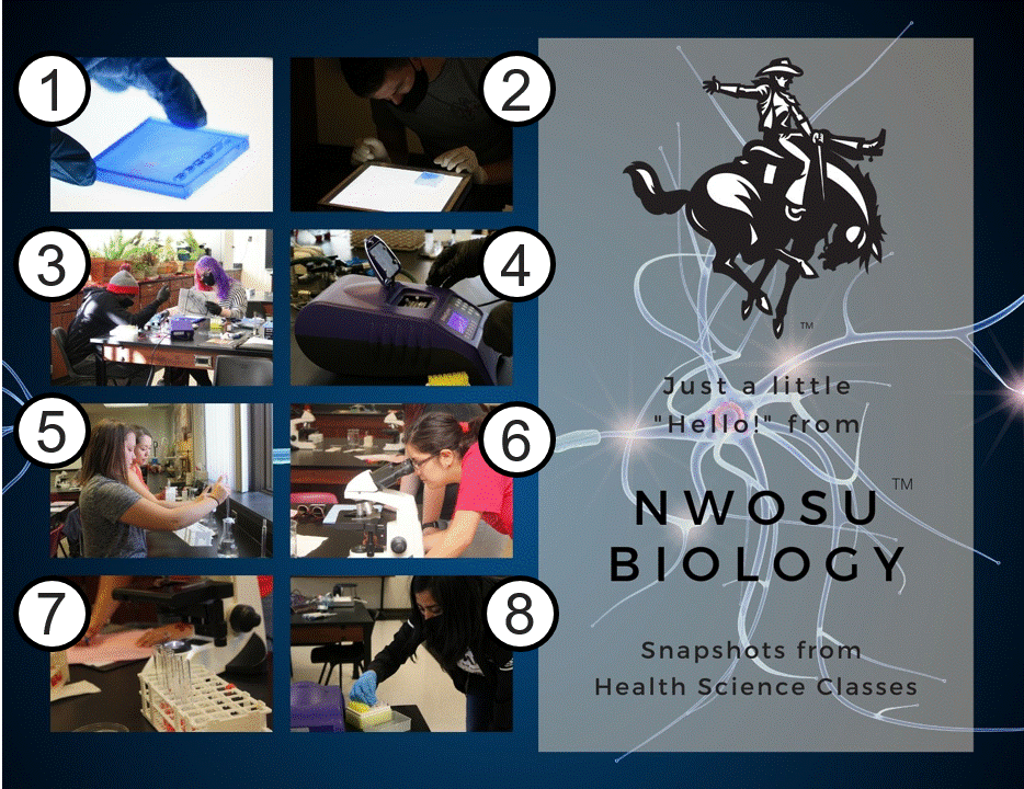 NWOSU Biology Health Sciences Postcard