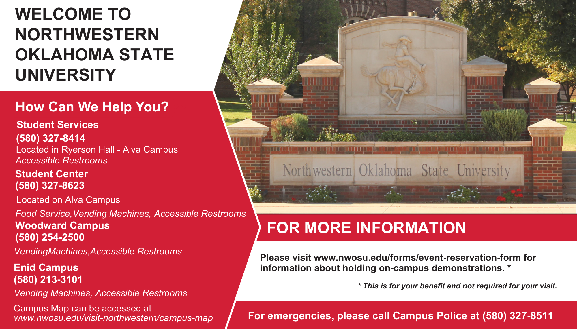 Free Expression Report Info