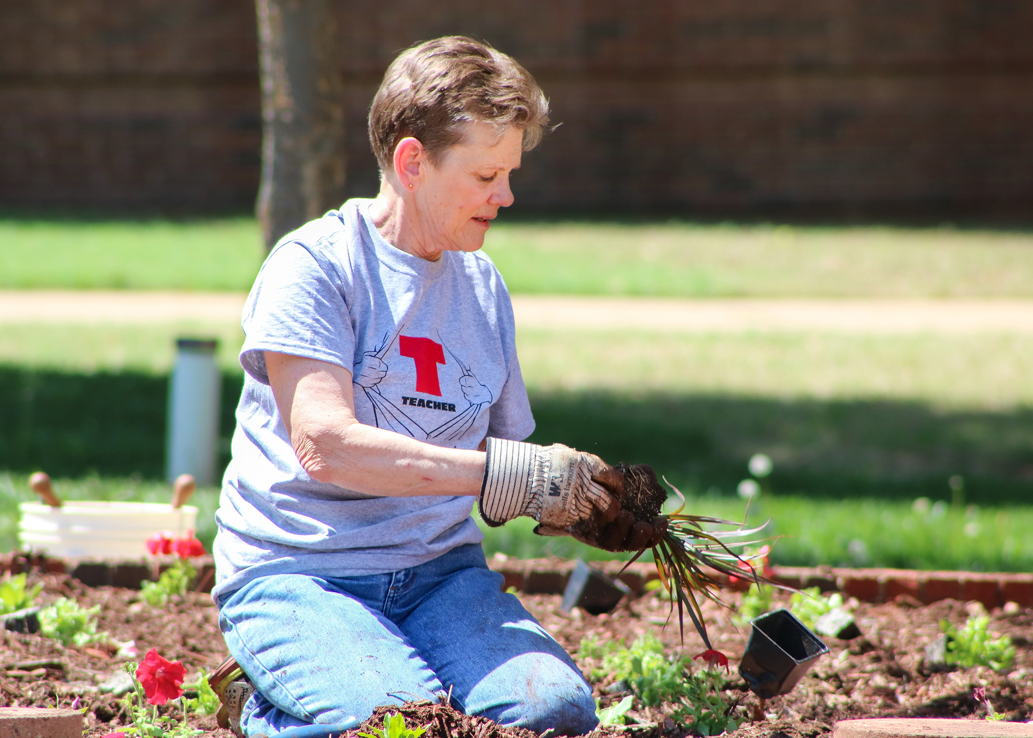 Campus Beautification