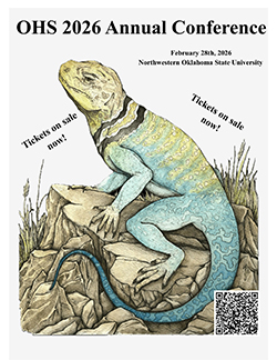 Illustrated poster featuring a collared lizard in yellow, turquoise, and blue tones perched on desert rocks with native grasses. Text reads 