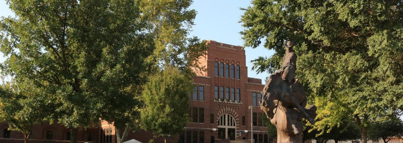 School of Arts-Sciences Overview (Ranger Statue)