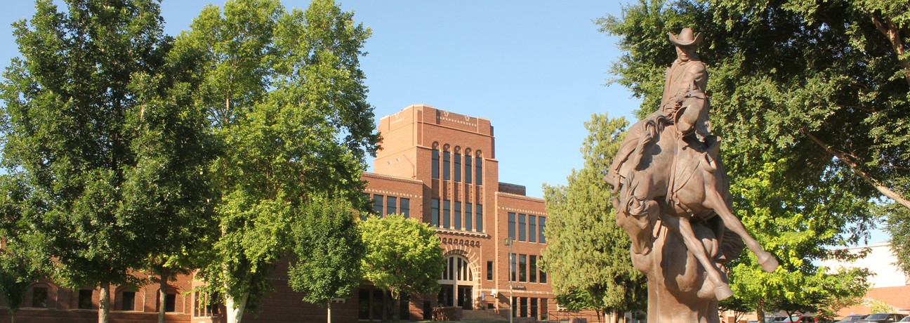 Finance, Online Oklahoma State University