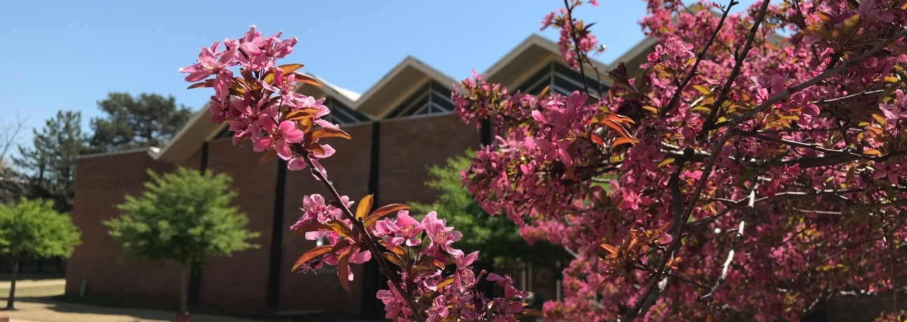 Paying for College (Blooming Redbud)