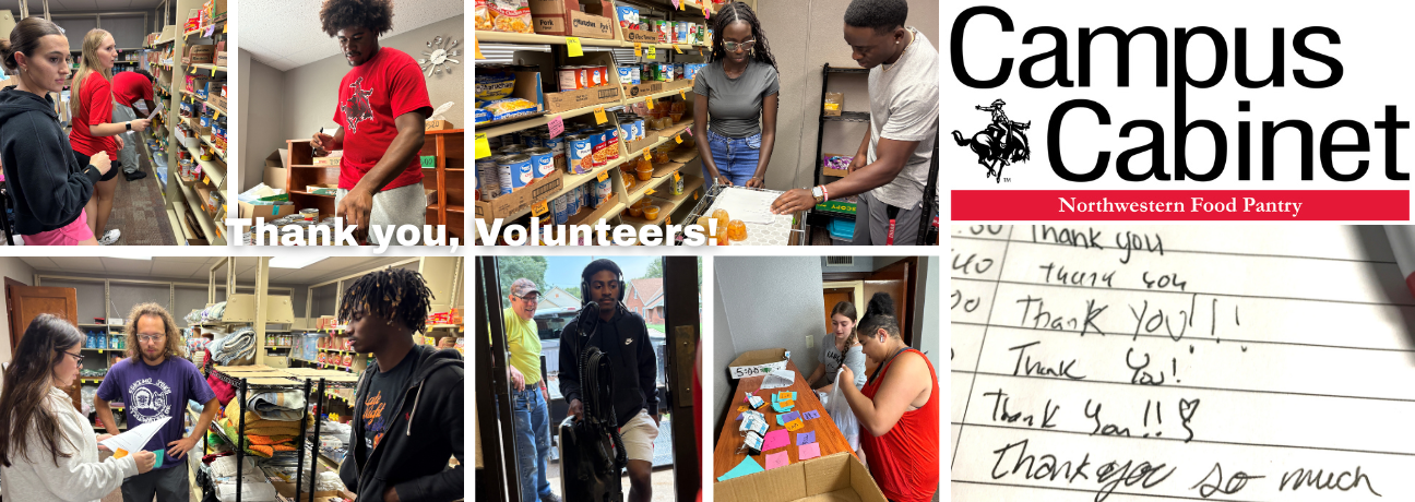 Campus Cabinet shelves