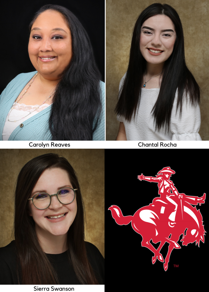 8 Northwestern Social Work Students Enter the Field