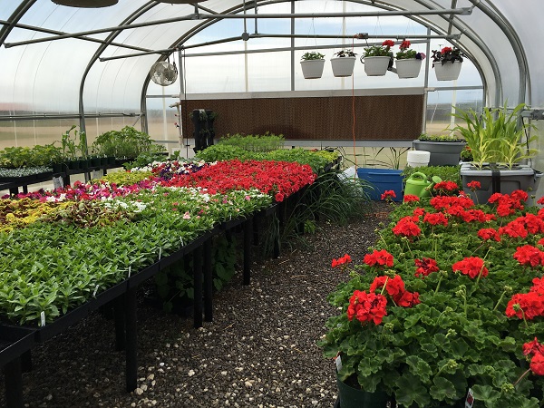 NWOSU Farm Greenhouse