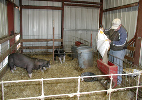 NWOSU Farm Animal Enclosure