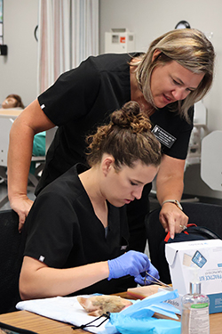 Dr. Gwyneth Holderby (right), DNP program director and assistant professor nursing, assists a student suturing a pig specimen donated by Kiowa Meat Locker.
