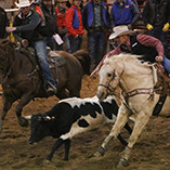 More than 800 students to compete in annual Ranger Rodeo October 28-30