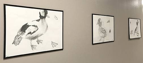 Students in Northwestern’s natural history drawing class have artwork on display in the Division of Business second floor hallway.