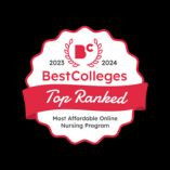 Northwestern ranked top 10 school in nation for affordable online nursing education