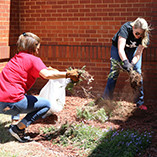 Northwestern Staff Council Planning Campus Beautification Spring Event
