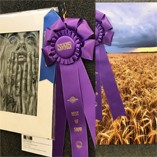 NWOSU Art Society Art Show taken online after COVID-19 interruption; charcoal drawing, landscape photograph take Best of Show honors