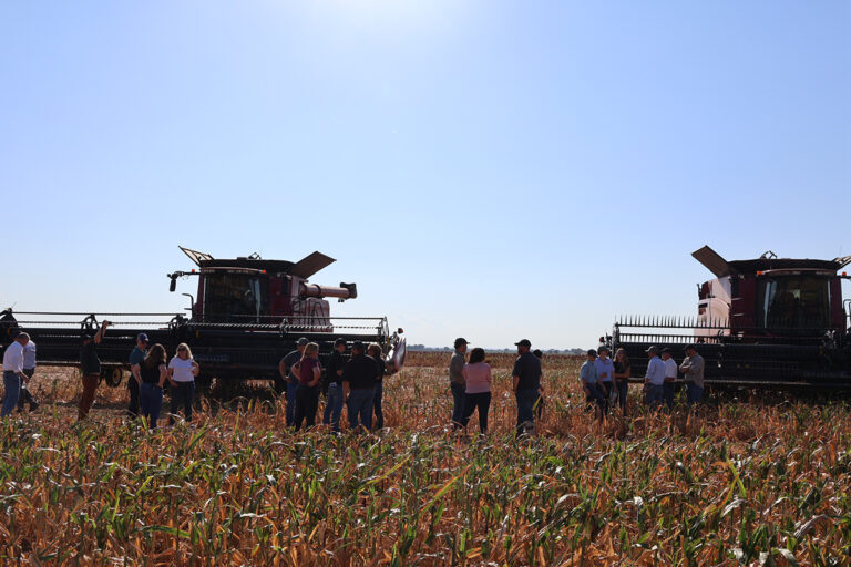 Two red Case IH combines sit in standing milo at the Martin farm south of Alva, with a group of tour members gathered between them under a wide, clear Oklahoma sky.