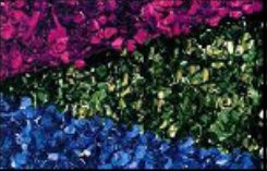 Close-up of metallic floral sheeting in magenta, green and blue with a highly reflective foil surface.